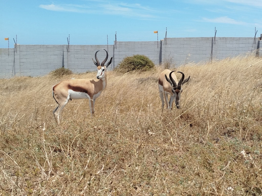 4 Bedroom Property for Sale in Hoogland Western Cape